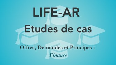 Vignette études de cas finance