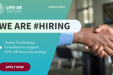 urgently needed senior fundraising consultant