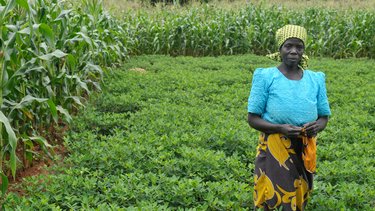 Woman in a crop field
