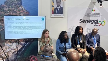 LIE-AR UNIDO event in the Senegal pavilion