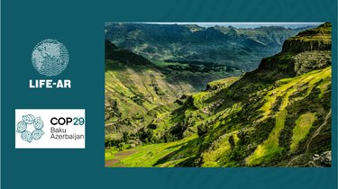 Partnership dialogue COP29