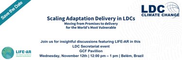 Header for the adaptation event organised by the LDC Group