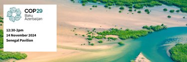 COP29 UNIDO event