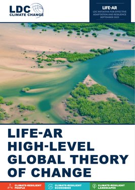LIFE-AR Global Theory of Change Cover