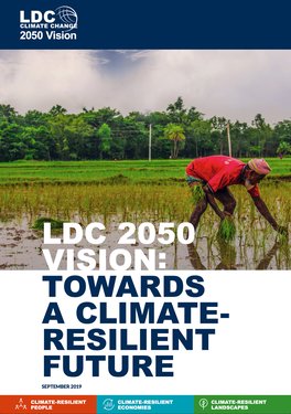 LDC-2050-vision-cover