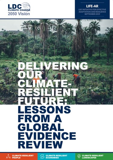 global evidence review